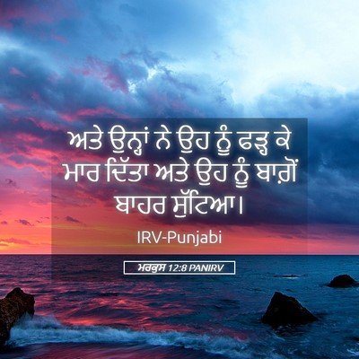Picture 05 - ਮਰਕੁਸ 12:8 PANIRV - ਅਤੇ ਉਨ੍ਹਾਂ ਨੇ ਉਹ - Bible Verse Picture