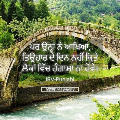Picture 05 - ਮਰਕੁਸ 14:2 PANIRV - ਪਰ ਉਨ੍ਹਾਂ ਨੇ ਆਖਿਆ, - Bible Verse Picture