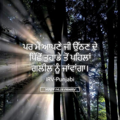 Picture 05 - ਮਰਕੁਸ 14:28 PANIRV - ਪਰ ਮੈਂ ਆਪਣੇ ਜੀ ਉੱਠਣ - Bible Verse Picture