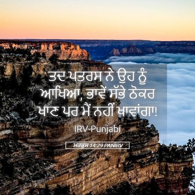 Picture 05 - ਮਰਕੁਸ 14:29 PANIRV - ਤਦ ਪਤਰਸ ਨੇ ਉਹ ਨੂੰ - Bible Verse Picture