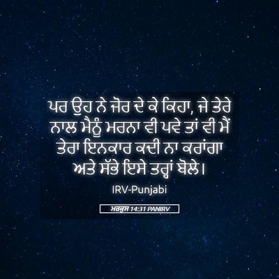 Picture 05 - ਮਰਕੁਸ 14:31 PANIRV - ਪਰ ਉਹ ਨੇ ਜੋਰ ਦੇ ਕੇ - Bible Verse Picture