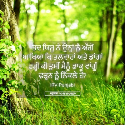 Picture 05 - ਮਰਕੁਸ 14:48 PANIRV - ਤਦ ਯਿਸੂ ਨੇ ਉਨ੍ਹਾਂ - Bible Verse Picture