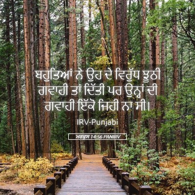 Picture 05 - ਮਰਕੁਸ 14:56 PANIRV - ਬਹੁਤਿਆਂ ਨੇ ਉਹ ਦੇ - Bible Verse Picture