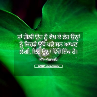 Picture 05 - ਮਰਕੁਸ 14:69 PANIRV - ਤਾਂ ਗੋਲੀ ਉਹ ਨੂੰ ਵੇਖ - Bible Verse Picture