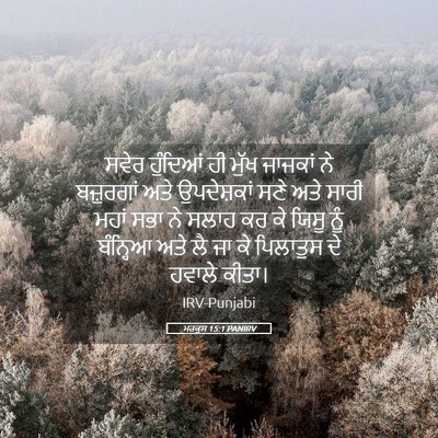 Picture 05 - ਮਰਕੁਸ 15:1 PANIRV - ਸਵੇਰ ਹੁੰਦਿਆਂ ਹੀ - Bible Verse Picture