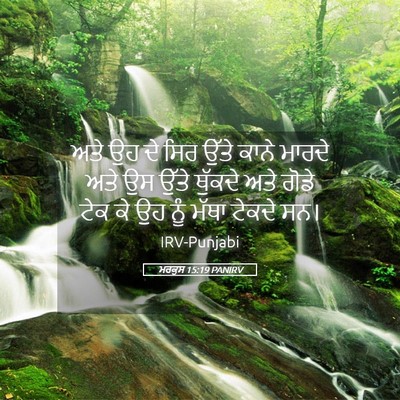 Picture 05 - ਮਰਕੁਸ 15:19 PANIRV - ਅਤੇ ਉਹ ਦੇ ਸਿਰ ਉੱਤੇ - Bible Verse Picture