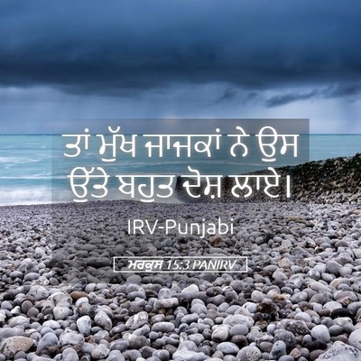 Picture 05 - ਮਰਕੁਸ 15:3 PANIRV - ਤਾਂ ਮੁੱਖ ਜਾਜਕਾਂ ਨੇ - Bible Verse Picture