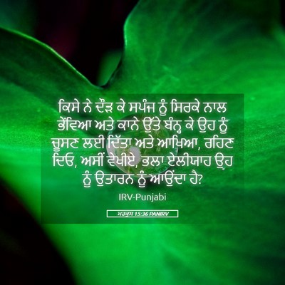 Picture 05 - ਮਰਕੁਸ 15:36 PANIRV - ਕਿਸੇ ਨੇ ਦੌੜ ਕੇ ਸਪੰਜ - Bible Verse Picture