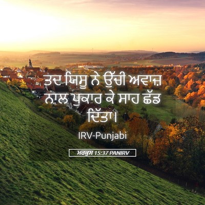 Picture 05 - ਮਰਕੁਸ 15:37 PANIRV - ਤਦ ਯਿਸੂ ਨੇ ਉੱਚੀ - Bible Verse Picture