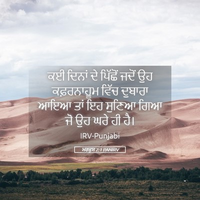Picture 05 - ਮਰਕੁਸ 2:1 PANIRV - ਕਈ ਦਿਨਾਂ ਦੇ ਪਿੱਛੋਂ - Bible Verse Picture