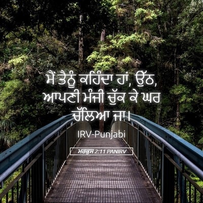Picture 05 - ਮਰਕੁਸ 2:11 PANIRV - ਮੈਂ ਤੈਨੂੰ ਕਹਿੰਦਾ - Bible Verse Picture