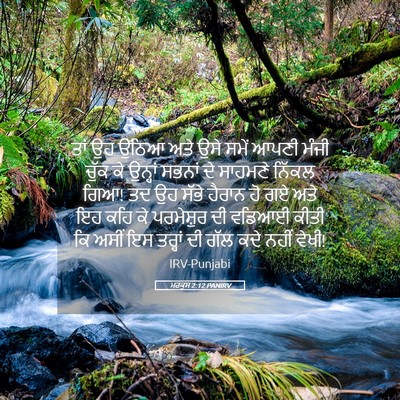 Picture 05 - ਮਰਕੁਸ 2:12 PANIRV - ਤਾਂ ਉਹ ਉੱਠਿਆ ਅਤੇ - Bible Verse Picture
