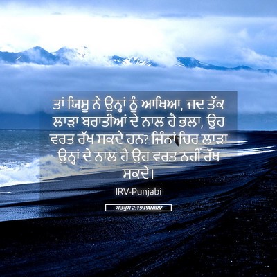 Picture 05 - ਮਰਕੁਸ 2:19 PANIRV - ਤਾਂ ਯਿਸੂ ਨੇ ਉਨ੍ਹਾਂ - Bible Verse Picture