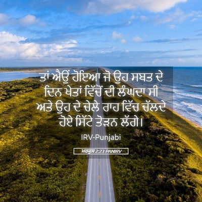Picture 05 - ਮਰਕੁਸ 2:23 PANIRV - ਤਾਂ ਐਉਂ ਹੋਇਆ ਜੋ ਉਹ - Bible Verse Picture