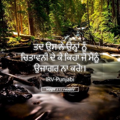 Picture 05 - ਮਰਕੁਸ 3:12 PANIRV - ਤਦ ਉਸ ਨੇ ਉਨ੍ਹਾਂ ਨੂੰ - Bible Verse Picture