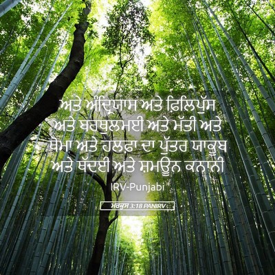 Picture 05 - ਮਰਕੁਸ 3:18 PANIRV - ਅਤੇ ਅੰਦ੍ਰਿਯਾਸ ਅਤੇ - Bible Verse Picture