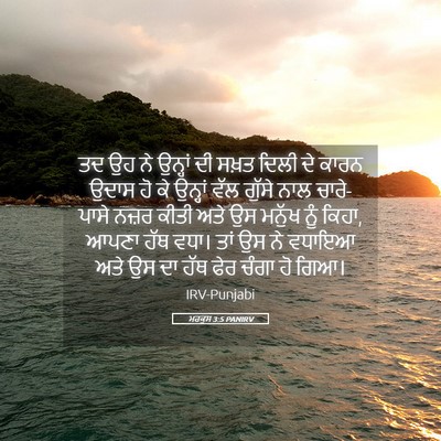 Picture 05 - ਮਰਕੁਸ 3:5 PANIRV - ਤਦ ਉਹ ਨੇ ਉਨ੍ਹਾਂ ਦੀ - Bible Verse Picture
