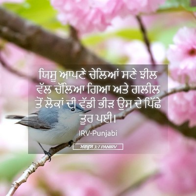 Picture 05 - ਮਰਕੁਸ 3:7 PANIRV - ਯਿਸੂ ਆਪਣੇ ਚੇਲਿਆਂ - Bible Verse Picture