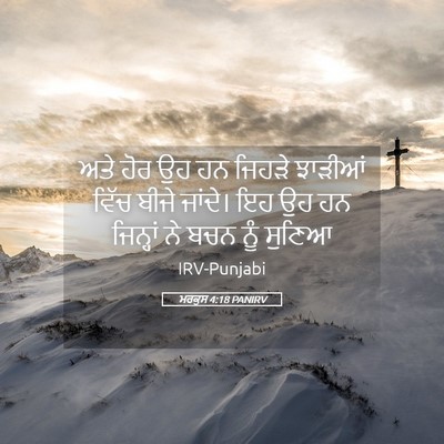 Picture 05 - ਮਰਕੁਸ 4:18 PANIRV - ਅਤੇ ਹੋਰ ਉਹ ਹਨ ਜਿਹੜੇ - Bible Verse Picture