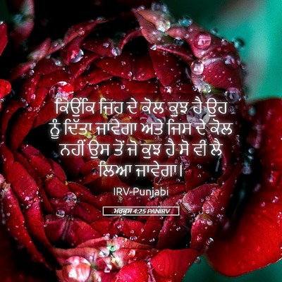 Picture 05 - ਮਰਕੁਸ 4:25 PANIRV - ਕਿਉਂਕਿ ਜਿਹ ਦੇ ਕੋਲ - Bible Verse Picture