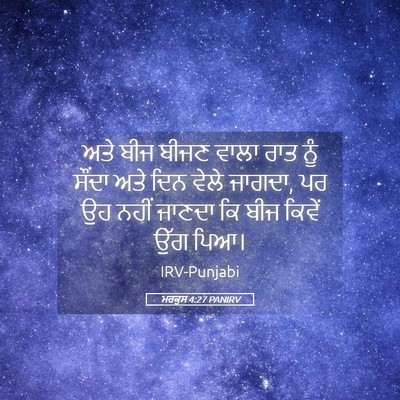 Picture 05 - ਮਰਕੁਸ 4:27 PANIRV - ਅਤੇ ਬੀਜ ਬੀਜਣ ਵਾਲਾ - Bible Verse Picture