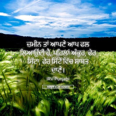Picture 05 - ਮਰਕੁਸ 4:28 PANIRV - ਜ਼ਮੀਨ ਤਾਂ ਆਪਣੇ ਆਪ - Bible Verse Picture
