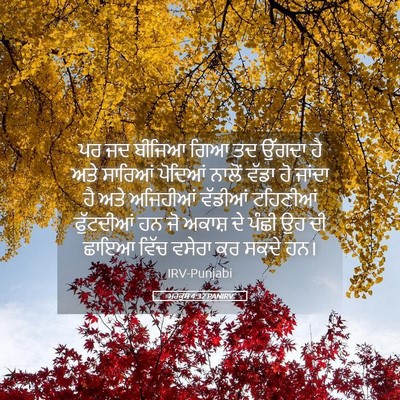 Picture 05 - ਮਰਕੁਸ 4:32 PANIRV - ਪਰ ਜਦ ਬੀਜਿਆ ਗਿਆ ਤਦ - Bible Verse Picture