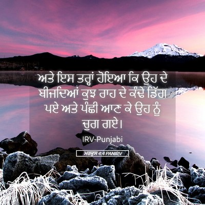 Picture 05 - ਮਰਕੁਸ 4:4 PANIRV - ਅਤੇ ਇਸ ਤਰ੍ਹਾਂ ਹੋਇਆ - Bible Verse Picture