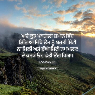 Picture 05 - ਮਰਕੁਸ 4:5 PANIRV - ਅਤੇ ਕੁਝ ਪਥਰੀਲੀ - Bible Verse Picture