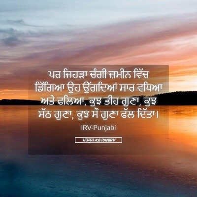 Picture 05 - ਮਰਕੁਸ 4:8 PANIRV - ਪਰ ਜਿਹੜਾ ਚੰਗੀ - Bible Verse Picture