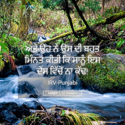 Picture 05 - ਮਰਕੁਸ 5:10 PANIRV - ਅਤੇ ਉਹ ਨੇ ਉਸ ਦੀ - Bible Verse Picture