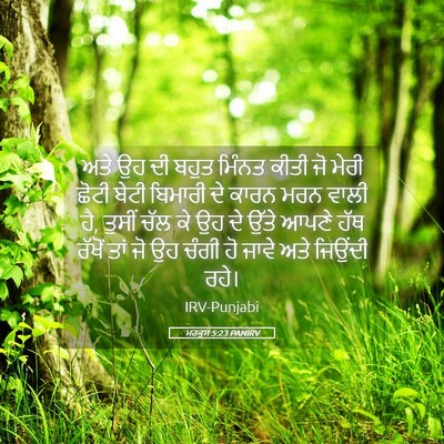 Picture 05 - ਮਰਕੁਸ 5:23 PANIRV - ਅਤੇ ਉਹ ਦੀ ਬਹੁਤ - Bible Verse Picture