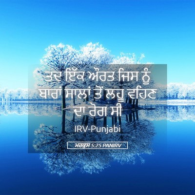 Picture 05 - ਮਰਕੁਸ 5:25 PANIRV - ਤਦ ਇੱਕ ਔਰਤ ਜਿਸ ਨੂੰ - Bible Verse Picture