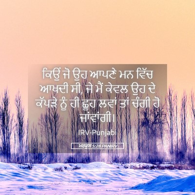Picture 05 - ਮਰਕੁਸ 5:28 PANIRV - ਕਿਉਂ ਜੋ ਉਹ ਆਪਣੇ ਮਨ - Bible Verse Picture