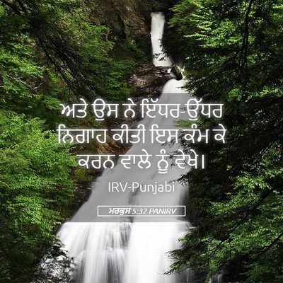 Picture 05 - ਮਰਕੁਸ 5:32 PANIRV - ਅਤੇ ਉਸ ਨੇ ਇੱਧਰ-ਉੱਧਰ - Bible Verse Picture