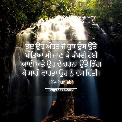 Picture 05 - ਮਰਕੁਸ 5:33 PANIRV - ਤਦ ਉਹ ਔਰਤ ਜੋ ਕੁਝ ਉਸ - Bible Verse Picture