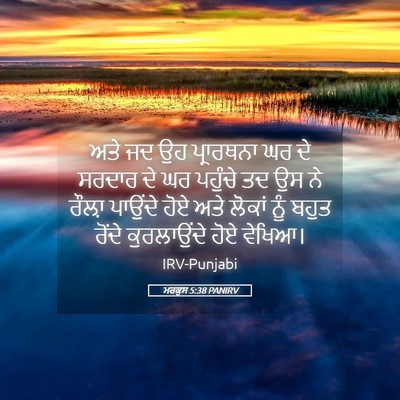 Picture 05 - ਮਰਕੁਸ 5:38 PANIRV - ਅਤੇ ਜਦ ਉਹ ਪ੍ਰਾਰਥਨਾ - Bible Verse Picture