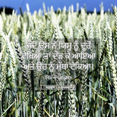 Picture 05 - ਮਰਕੁਸ 5:6 PANIRV - ਜਦੋਂ ਉਸ ਨੇ ਯਿਸੂ ਨੂੰ - Bible Verse Picture