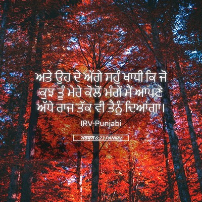 Picture 05 - ਮਰਕੁਸ 6:23 PANIRV - ਅਤੇ ਉਹ ਦੇ ਅੱਗੇ ਸਹੁੰ - Bible Verse Picture