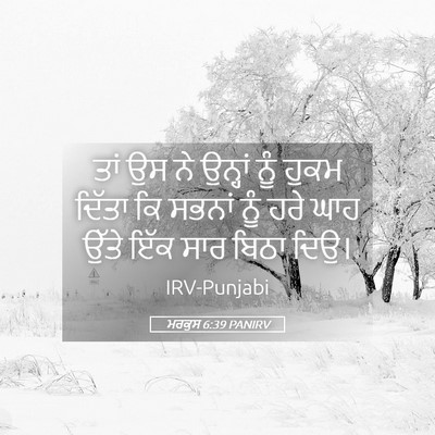 Picture 05 - ਮਰਕੁਸ 6:39 PANIRV - ਤਾਂ ਉਸ ਨੇ ਉਨ੍ਹਾਂ - Bible Verse Picture