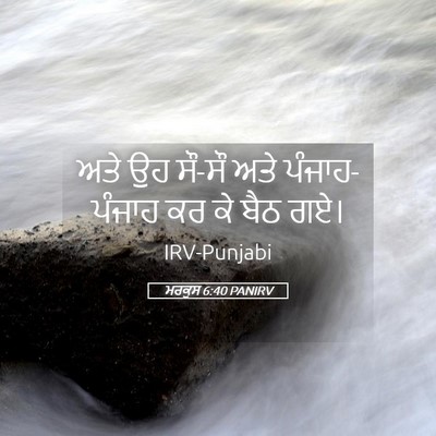 Picture 05 - ਮਰਕੁਸ 6:40 PANIRV - ਅਤੇ ਉਹ ਸੌ-ਸੌ ਅਤੇ - Bible Verse Picture