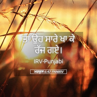 Picture 05 - ਮਰਕੁਸ 6:42 PANIRV - ਤਾਂ ਉਹ ਸਾਰੇ ਖਾ ਕੇ - Bible Verse Picture