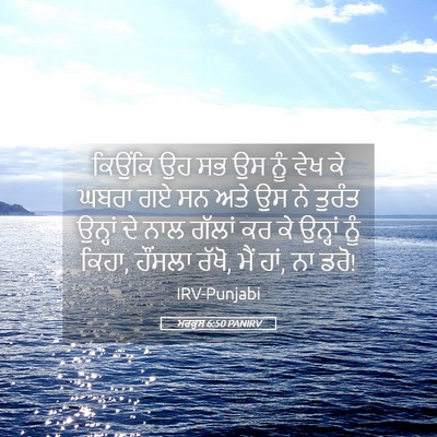 Picture 05 - ਮਰਕੁਸ 6:50 PANIRV - ਕਿਉਂਕਿ ਉਹ ਸਭ ਉਸ ਨੂੰ - Bible Verse Picture