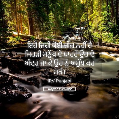 Picture 05 - ਮਰਕੁਸ 7:15 PANIRV - ਇਹੋ ਜਿਹੀ ਕੋਈ ਚੀਜ਼ - Bible Verse Picture