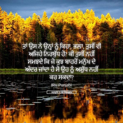 Picture 05 - ਮਰਕੁਸ 7:18 PANIRV - ਤਾਂ ਉਸ ਨੇ ਉਨ੍ਹਾਂ - Bible Verse Picture