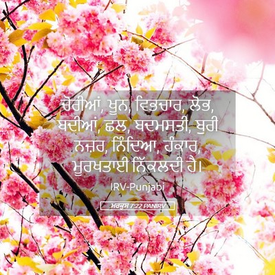 Picture 05 - ਮਰਕੁਸ 7:22 PANIRV - ਚੋਰੀਆਂ, ਖੂਨ, - Bible Verse Picture