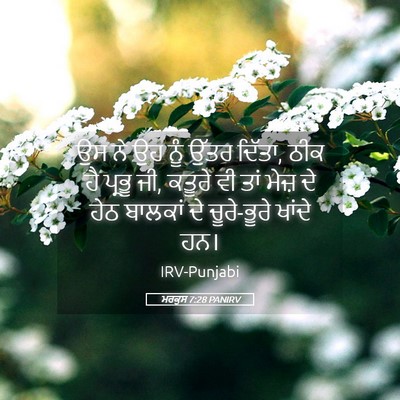 Picture 05 - ਮਰਕੁਸ 7:28 PANIRV - ਉਸ ਨੇ ਉਹ ਨੂੰ ਉੱਤਰ - Bible Verse Picture