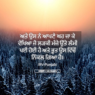 Picture 05 - ਮਰਕੁਸ 7:30 PANIRV - ਅਤੇ ਉਸ ਨੇ ਆਪਣੇ ਘਰ - Bible Verse Picture