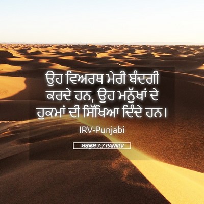 Picture 05 - ਮਰਕੁਸ 7:7 PANIRV - ਉਹ ਵਿਅਰਥ ਮੇਰੀ - Bible Verse Picture