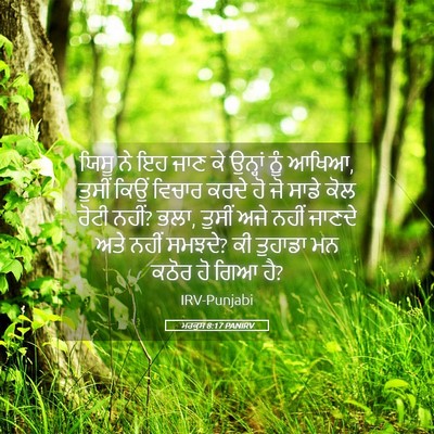 Picture 05 - ਮਰਕੁਸ 8:17 PANIRV - ਯਿਸੂ ਨੇ ਇਹ ਜਾਣ ਕੇ - Bible Verse Picture